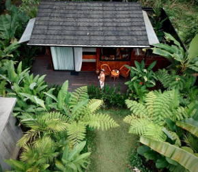 Kabinji Bali